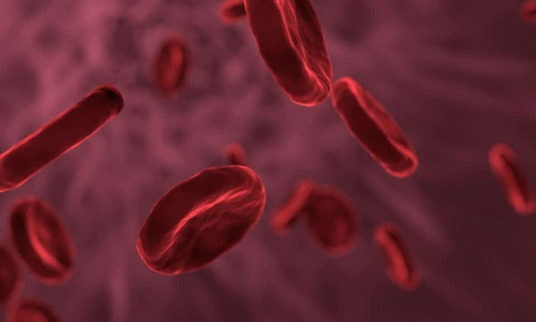 Scientists Successfully Create Synthetic Blood That Mimics Human Red Cells